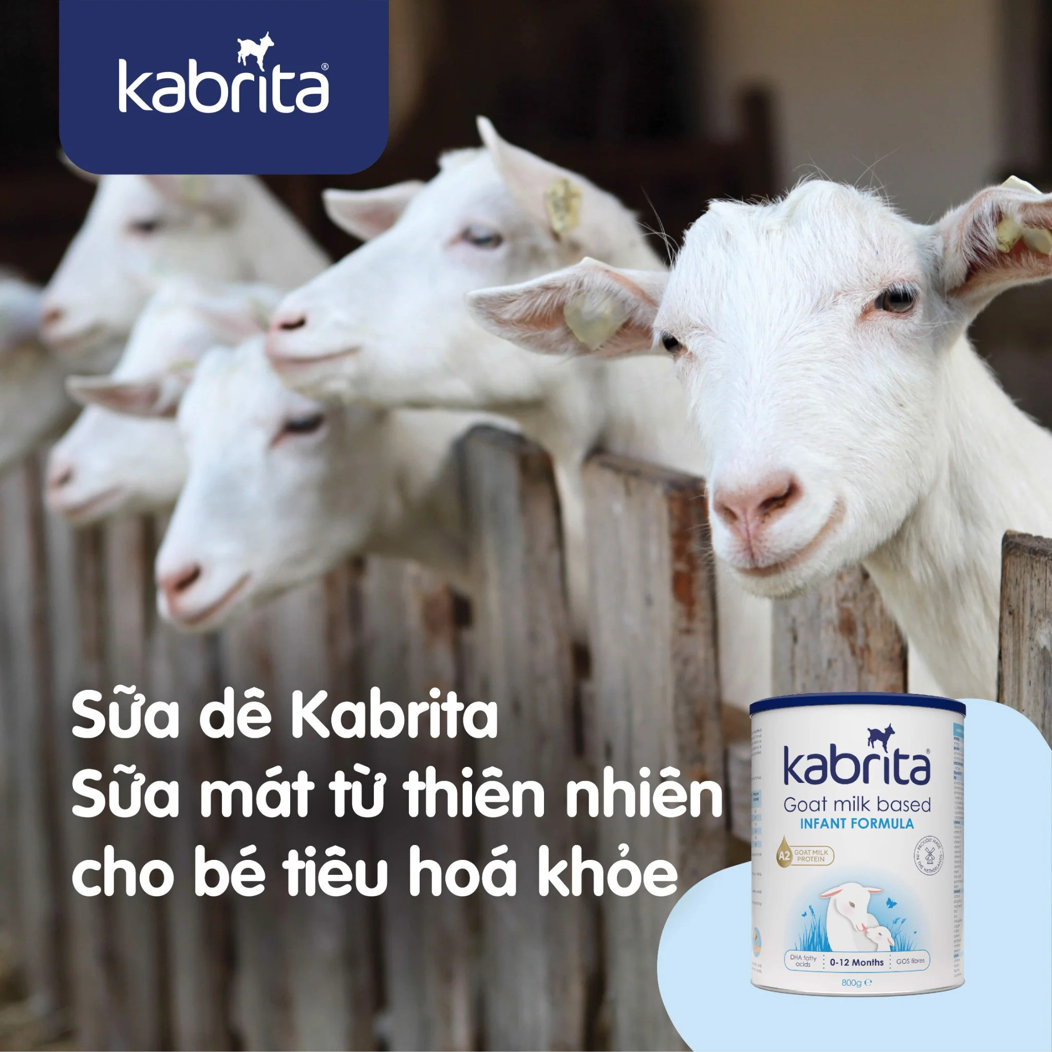 16704-sua-de-kabrita-so-1-800g(4)