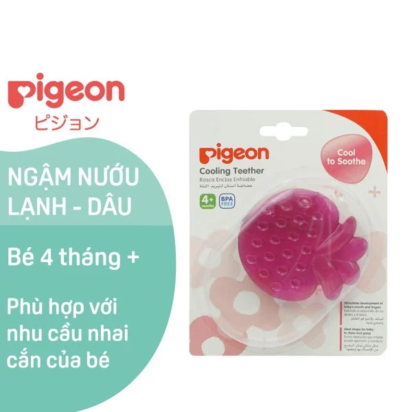 4365-ngam-nuou-pigeon